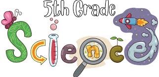 grade 5 science