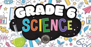 grade 6 science
